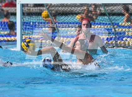 Thumbnail 1 in Damien vs La Jolla (America's Finest City) photogallery.
