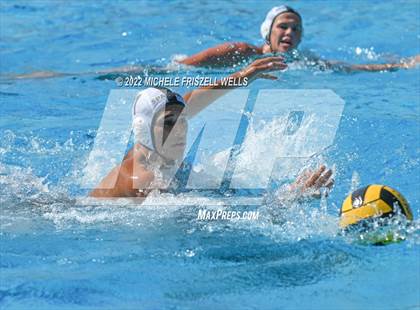 Thumbnail 1 in Damien vs La Jolla (America's Finest City) photogallery.