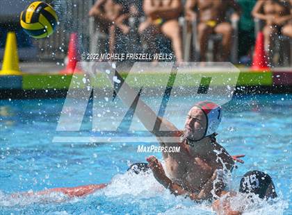 Thumbnail 1 in Damien vs La Jolla (America's Finest City) photogallery.