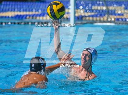 Thumbnail 1 in Damien vs La Jolla (America's Finest City) photogallery.