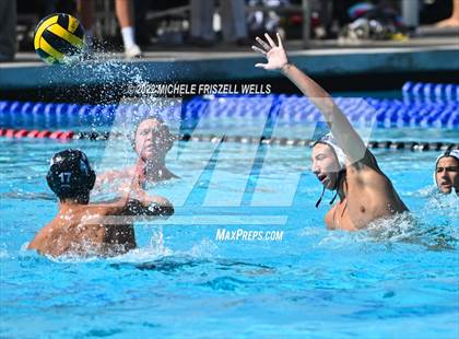 Thumbnail 2 in Damien vs La Jolla (America's Finest City) photogallery.