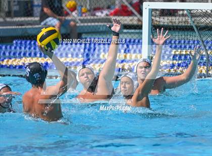 Thumbnail 3 in Damien vs La Jolla (America's Finest City) photogallery.