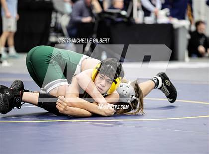 Thumbnail 1 in NYSPHSAA Wrestling Dual Finals Round 1 (Seaford vs Nanuet) photogallery.