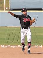 Photo from the gallery "Palos Verdes @ Crespi"