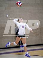 Photo from the gallery "Galt @ Bradshaw Christian"