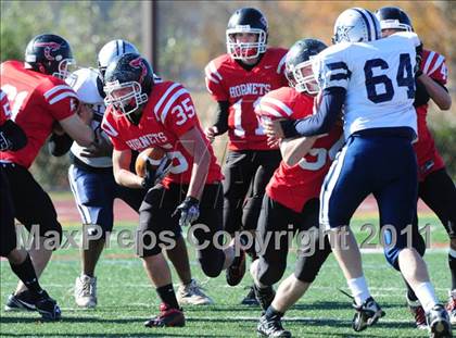 Thumbnail 3 in Hillhouse @ Branford photogallery.
