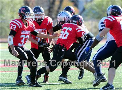 Thumbnail 2 in Hillhouse @ Branford photogallery.