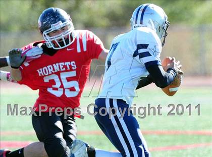 Thumbnail 1 in Hillhouse @ Branford photogallery.