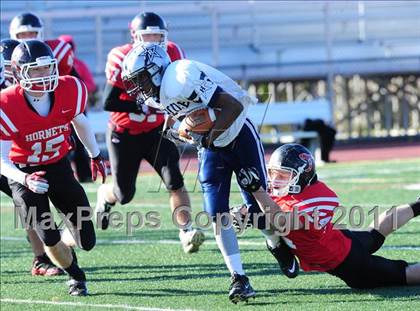 Thumbnail 1 in Hillhouse @ Branford photogallery.