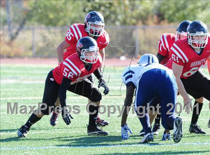 Thumbnail 2 in Hillhouse @ Branford photogallery.