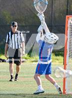 Photo from the gallery "Tamalpais @ Redwood"