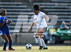 Photo from the gallery "Robinson @ Albemarle"