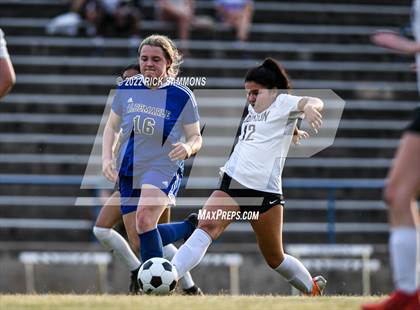 Thumbnail 3 in Robinson @ Albemarle photogallery.