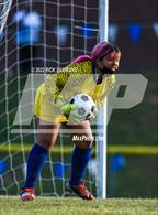 Photo from the gallery "Robinson @ Albemarle"