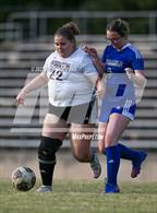 Photo from the gallery "Robinson @ Albemarle"