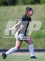 Photo from the gallery "Robinson @ Albemarle"