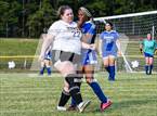 Photo from the gallery "Robinson @ Albemarle"