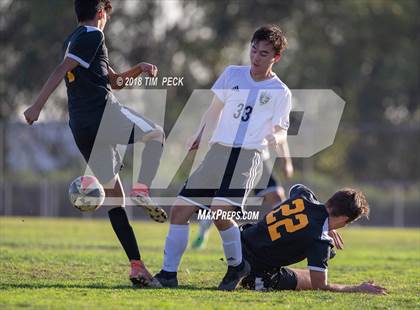 Thumbnail 1 in Sunny Hills @ Brea Olinda photogallery.