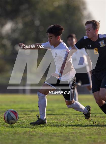 Thumbnail 2 in Sunny Hills @ Brea Olinda photogallery.