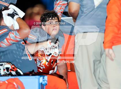 Thumbnail 3 in Madison @ Kemp photogallery.