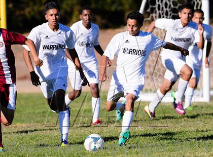 Thumbnail 1 in McClatchy @ Johnson photogallery.