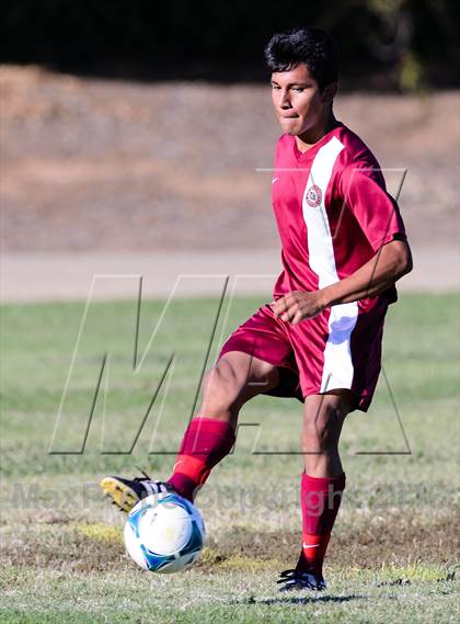 Thumbnail 1 in McClatchy @ Johnson photogallery.