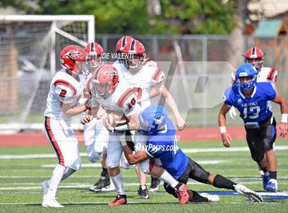 Thumbnail 1 in Clarence @ Kenmore West photogallery.
