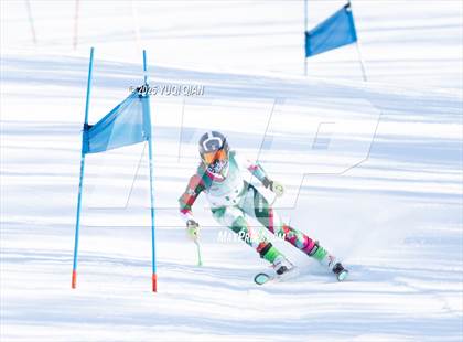 Thumbnail 2 in Brigham Ski League David Rockwell GS Championships photogallery.