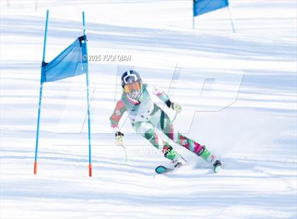 Thumbnail 3 in Brigham Ski League David Rockwell GS Championships photogallery.