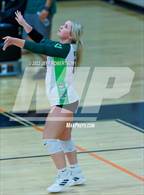 Photo from the gallery "Venice @ Sarasota"