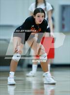 Photo from the gallery "Venice @ Sarasota"