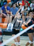 Photo from the gallery "Venice @ Sarasota"