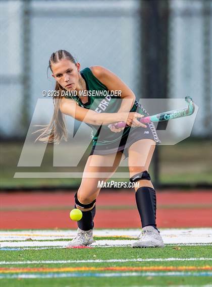 Thumbnail 1 in South Side @ Seaford (NYSPHSAA Section VIII Class B Quarterfinal) photogallery.