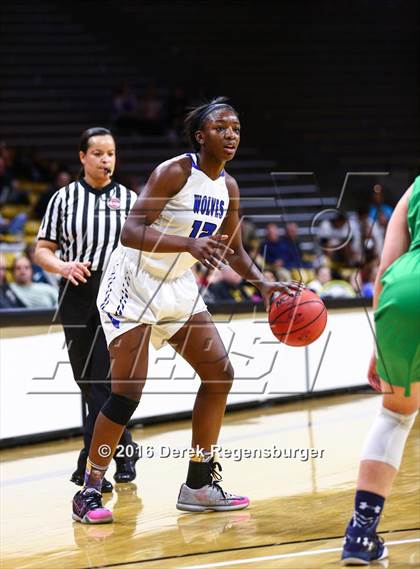 Thumbnail 2 in ThunderRidge vs Grandview (CHSAA 5A Semifinal) photogallery.
