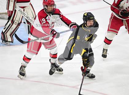 Thumbnail 3 in Amity Regional vs. Cheshire (CIAC DII Semifinal) photogallery.
