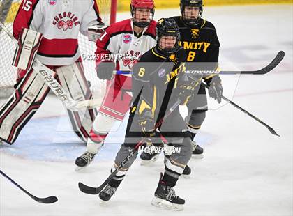 Thumbnail 3 in Amity Regional vs. Cheshire (CIAC DII Semifinal) photogallery.