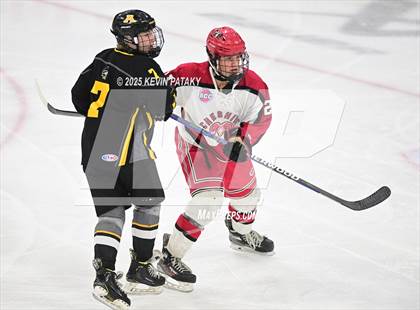 Thumbnail 3 in Amity Regional vs. Cheshire (CIAC DII Semifinal) photogallery.