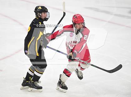 Thumbnail 3 in Amity Regional vs. Cheshire (CIAC DII Semifinal) photogallery.