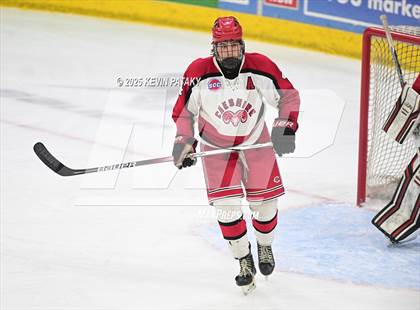 Thumbnail 3 in Amity Regional vs. Cheshire (CIAC DII Semifinal) photogallery.