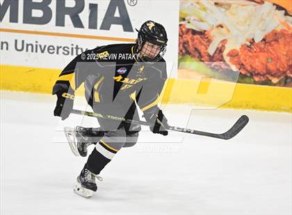Thumbnail 2 in Amity Regional vs. Cheshire (CIAC DII Semifinal) photogallery.