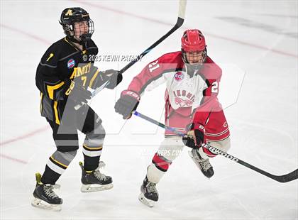 Thumbnail 3 in Amity Regional vs. Cheshire (CIAC DII Semifinal) photogallery.