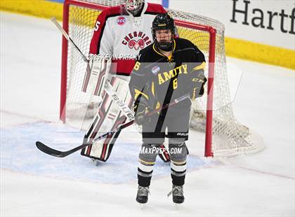 Thumbnail 1 in Amity Regional vs. Cheshire (CIAC DII Semifinal) photogallery.