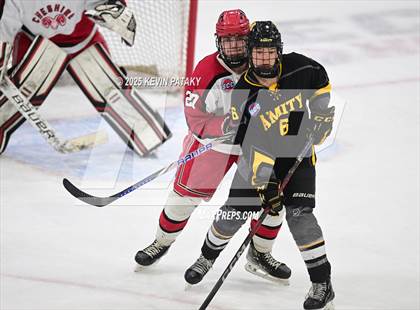 Thumbnail 2 in Amity Regional vs. Cheshire (CIAC DII Semifinal) photogallery.