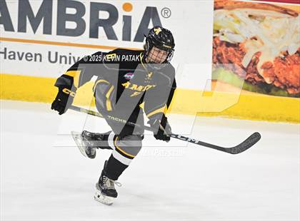 Thumbnail 1 in Amity Regional vs. Cheshire (CIAC DII Semifinal) photogallery.