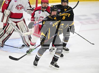 Thumbnail 1 in Amity Regional vs. Cheshire (CIAC DII Semifinal) photogallery.