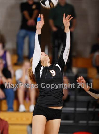 Thumbnail 3 in Lakewood @ Regis Jesuit photogallery.