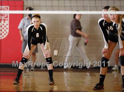 Thumbnail 3 in Lakewood @ Regis Jesuit photogallery.