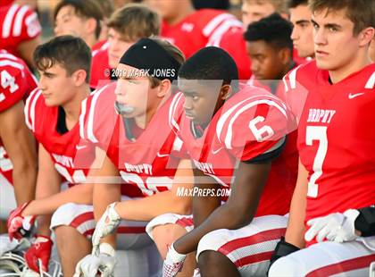 Thumbnail 3 in Brophy College Prep and Red Mountain (Mesa) @ Pinnacle (Scrimmage) photogallery.