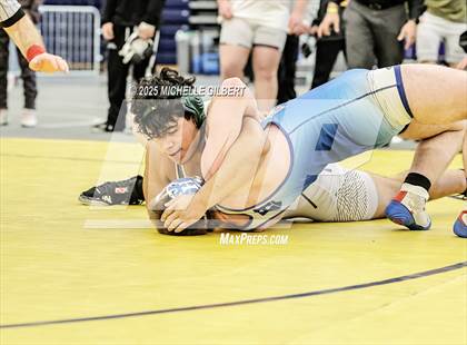 Thumbnail 1 in NYSPHSAA Wrestling Dual Finals Semi-Final (Horseheads vs Farmingdale) photogallery.