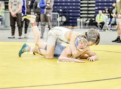 Thumbnail 1 in NYSPHSAA Wrestling Dual Finals Semi-Final (Horseheads vs Farmingdale) photogallery.